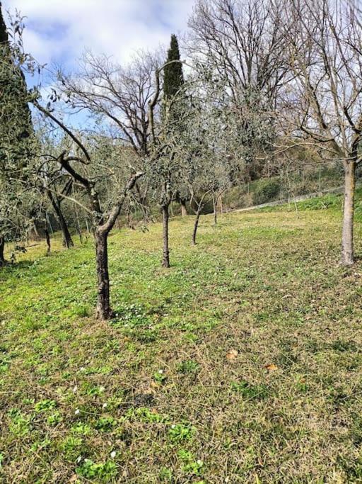 Locazione Turistica La Gesualda Apartment Castelnuovo Magra Exterior photo